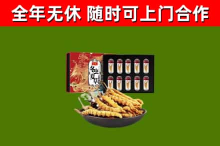 木兰县回收冬虫夏草价格