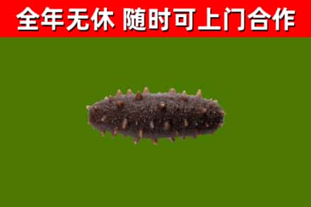 木兰县回收海参干